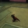 Red-Backed Gizka SWTOR pet